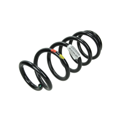Spiralfjäder Bak Ny Original 550204424R Dacia