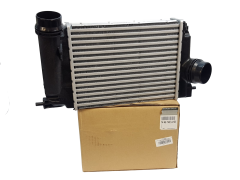 Intercooler Renault 144614EA1B Ny Original