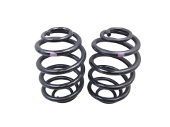 Spiralfjäder Bak Sats 7700839338 Renault Clio 2