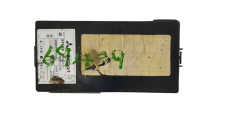 Modul MN902309 5WK45104F Smart Siemens VDO