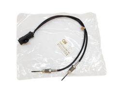 Avgastemperatursensor Citroen Peugeot 9807562780 QPlus