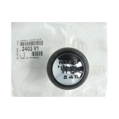 Växelspak Original Citroen Peugeot C4 307 407 2403V1