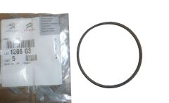 Packning, tätning Pompy Wody Ny Original 1206.G3 1206G3 Citroen Peugeot