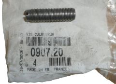 Bult Ny Original 090720 0907.20 Citroen Peugeot
