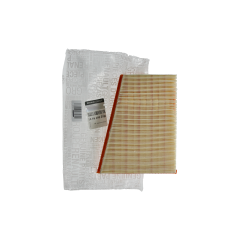 Luftfilter Original Renault Kangoo II 1.5 DCI 165469029R