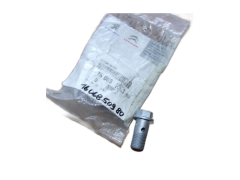 Bult Ny Original 1606850980 Citroen Peugeot