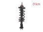 Stötdämpare Fram 543023828R 540100864R 93463333 Renault Trafic 3 2.0 DCI