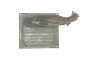 Styrenhet Ford 6S61-12A650-FD S120977315D 2CJD Siemens 57586