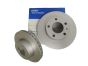 Bromsskivor Fram Gör Citroen Peugeot 1612435180 BG4823C Delphi