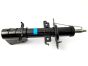 Stötdämpare Fram Original Kangoo II Kubistar 543020572R