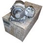 Startmotor Original 233004003R Renault