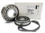 Lager Original Citroen Peugeot ML6C 237273 N40701H100 28TMO7