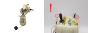 Bränslepump Citroen C1 Toyota Aygo Peugeot 108 77020-0H041 3789