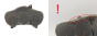 Hastighetsmätare Toyota Celica 83800-2B130 157510-0672 2070