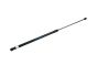 Motorhuvstöd 8T0823359 B18428 Audi A4 A5 Borsehung