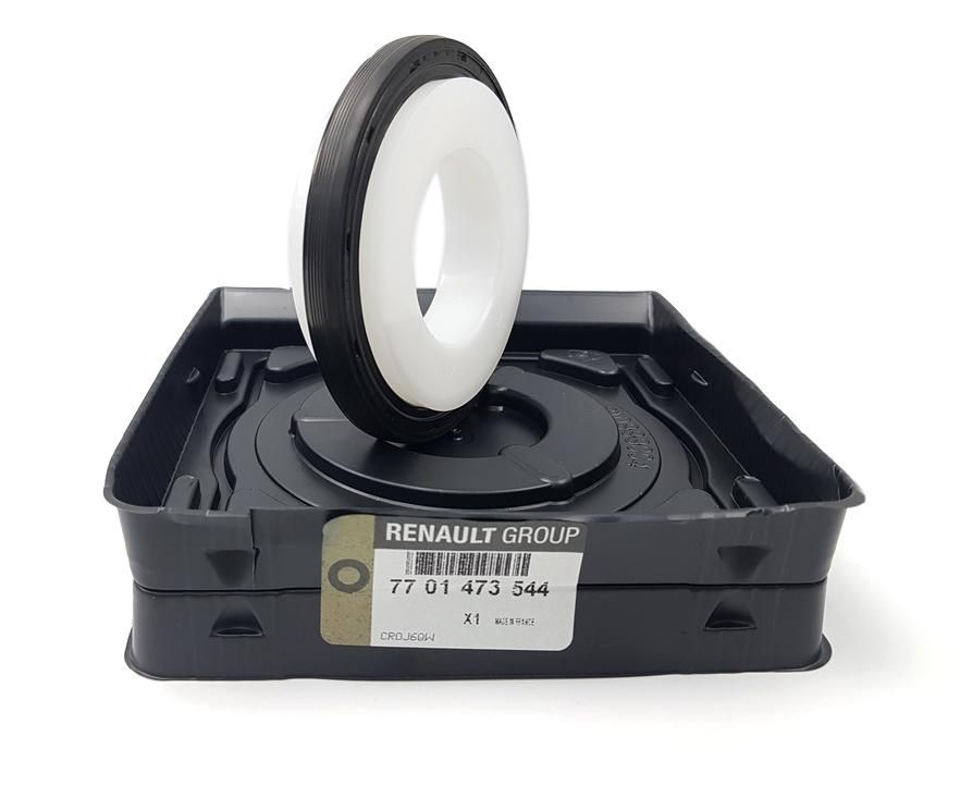 Lagerpackning 7701473544 Renault Dacia Original main product photo