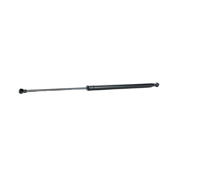 Bagageluckstöd Bak Original Renault Laguna III 904517086R main product photo